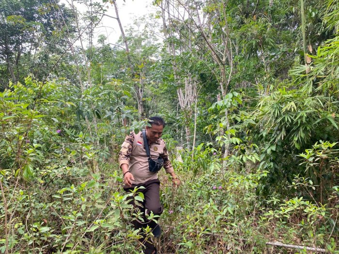 Momen Tak Terlupakan, Kepala MIN 1 Bungo Turut Ikuti Kegiatan Hiking dalam Persami 2025